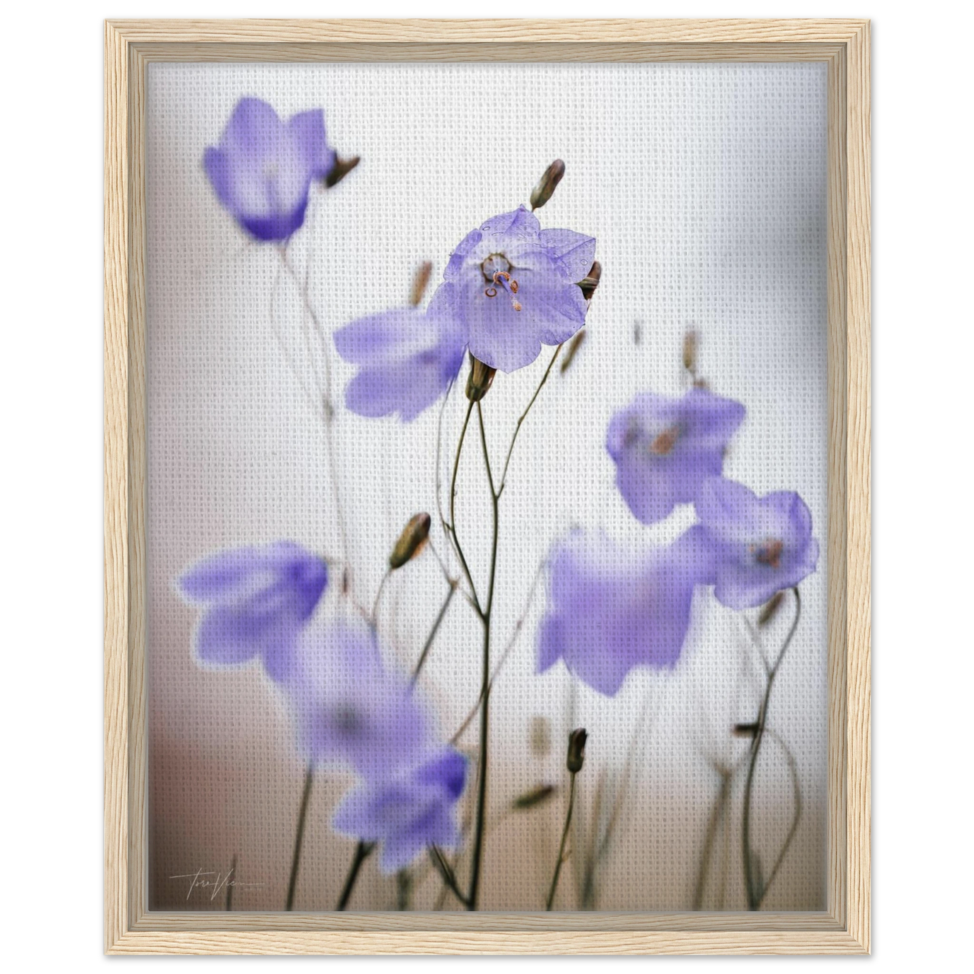 33abcf95-907f-46c5-9345-a078039223e8