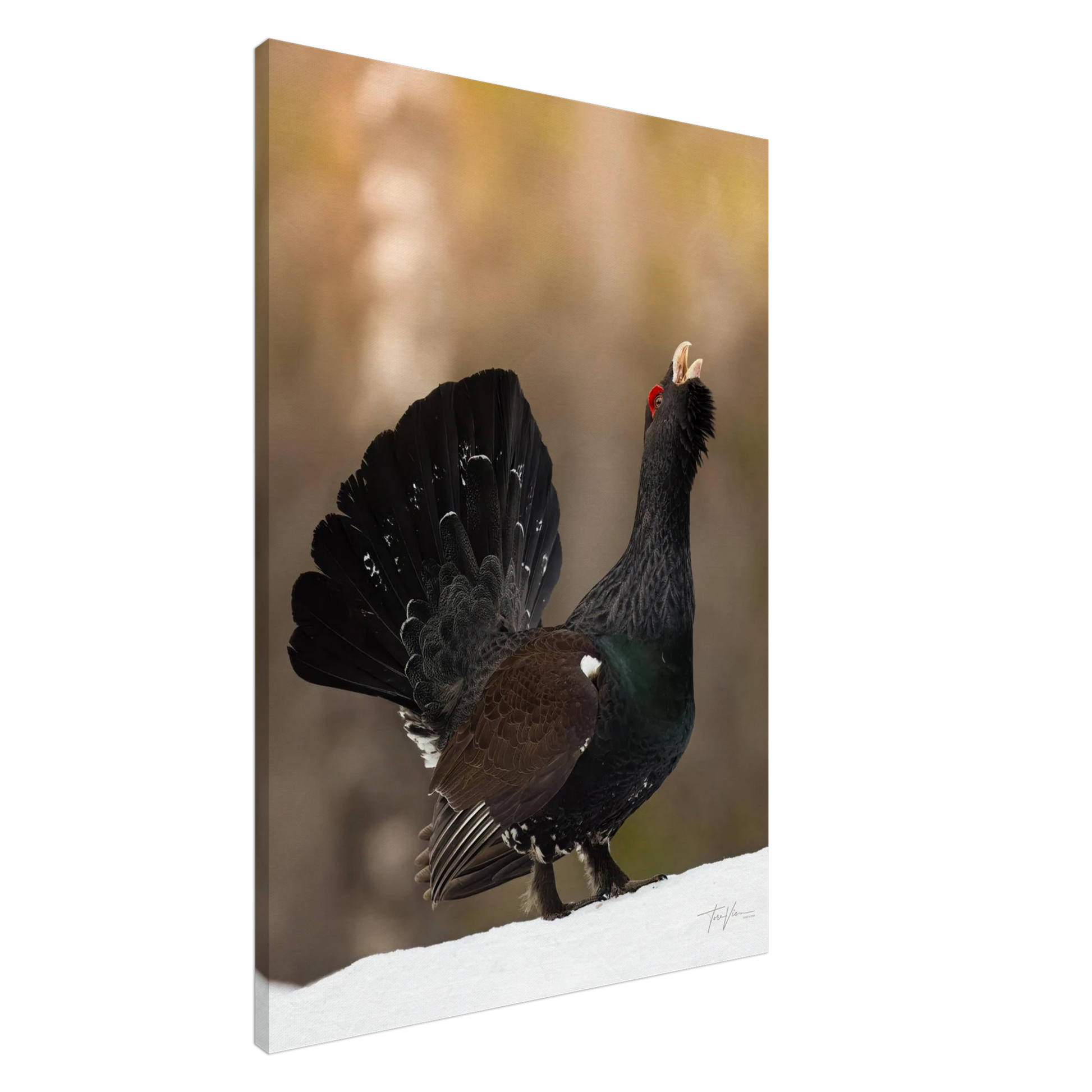 33e2e592-055d-4893-bee3-9ff05f9b3903