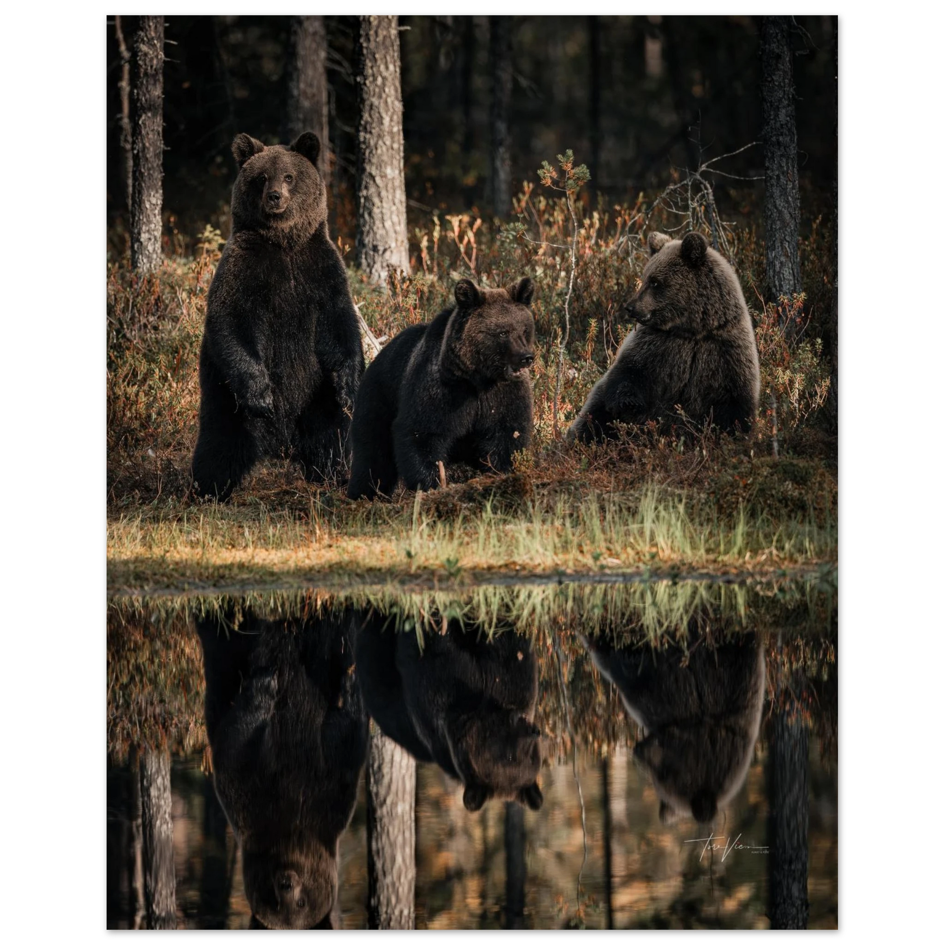 3517a313-ae23-4655-b99b-325b7f0b09c7