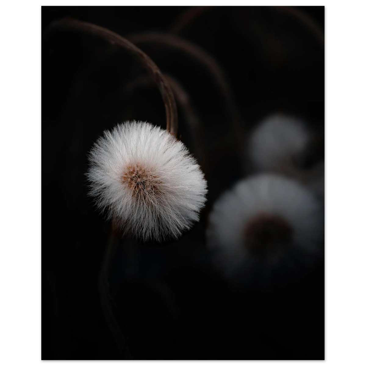 358bb881-72e1-433a-be72-5dfa41e685bb