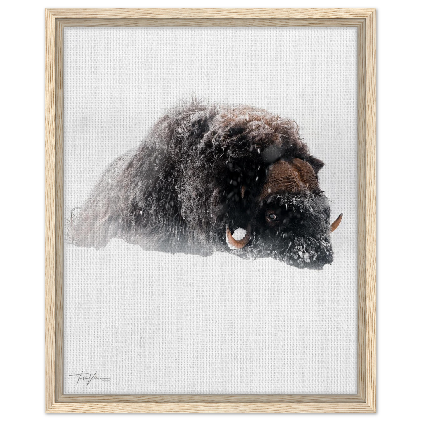 364538db-fb50-4172-bbd4-efef5d44b0aa