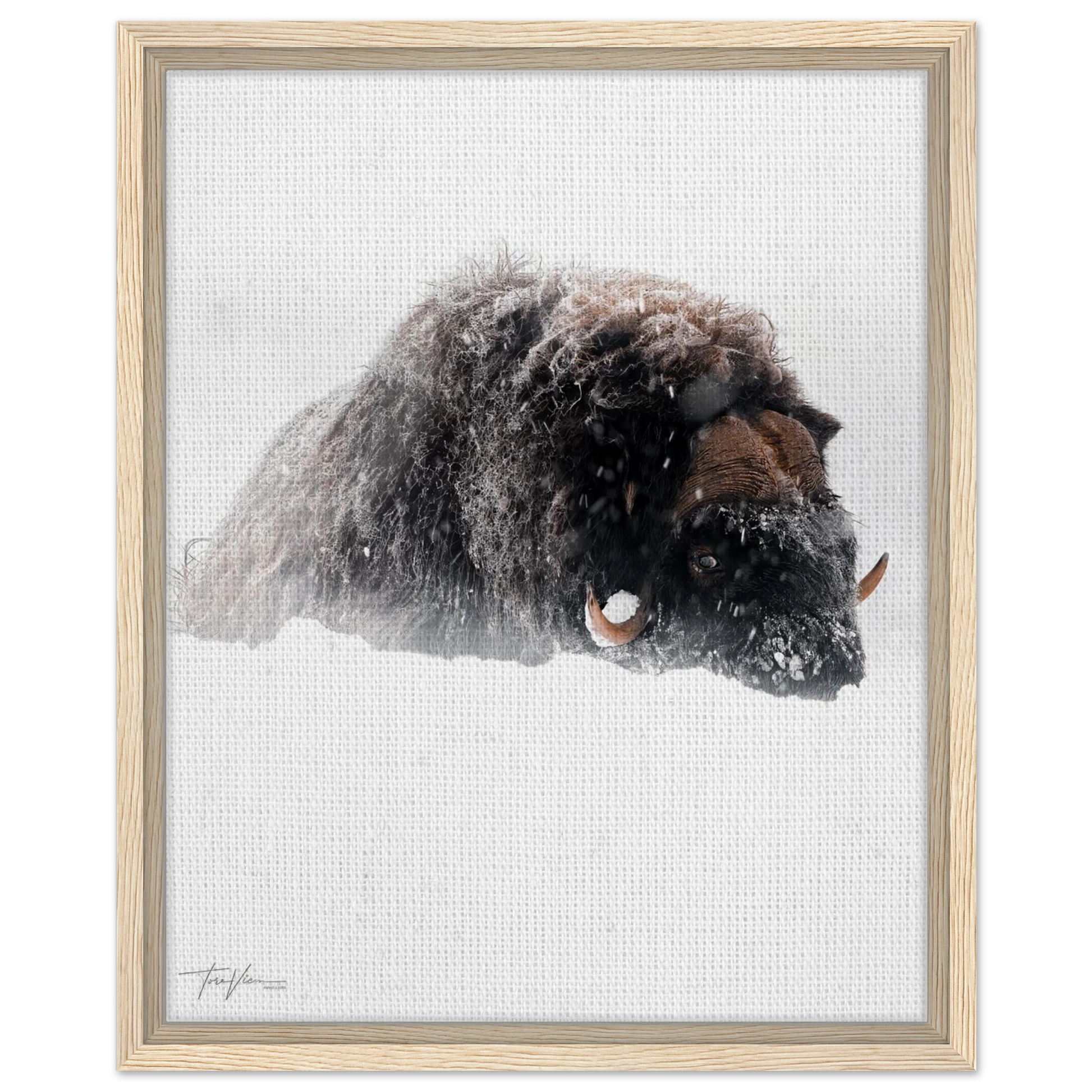 364538db-fb50-4172-bbd4-efef5d44b0aa