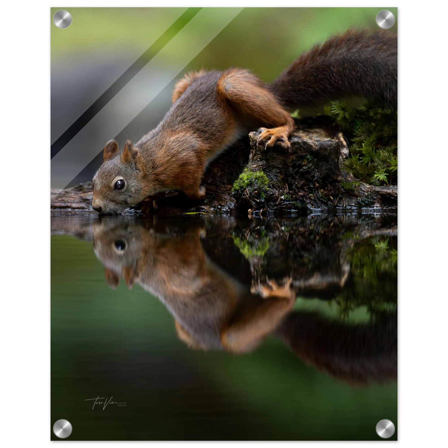 387ed8de-3758-4efe-91cb-13511d08d564