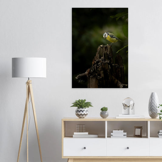 38f48a0c-52f5-40c8-bc59-13b1b86e1727