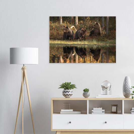 393c167c-8d14-491e-8615-87b7bd693b36