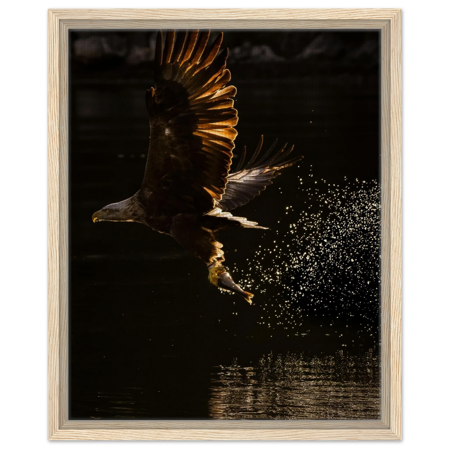 3a0458de-6044-46b7-b0dc-e08c85a9335a