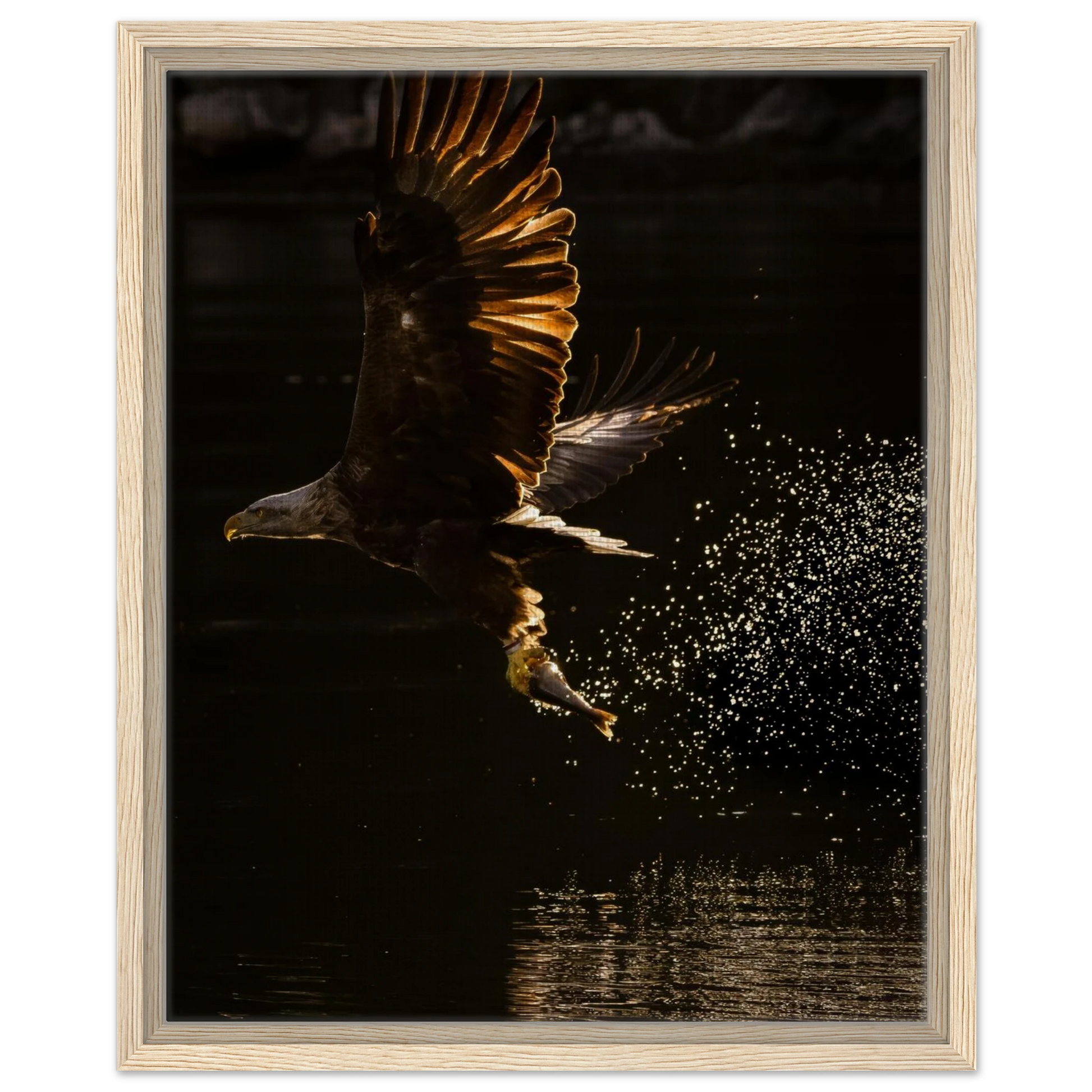 3a0458de-6044-46b7-b0dc-e08c85a9335a