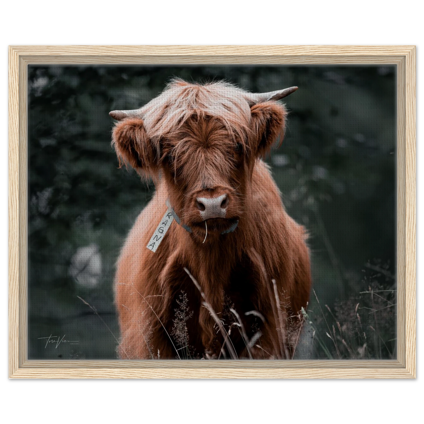 3b089826-77d6-4ddb-98c8-8882934867f0