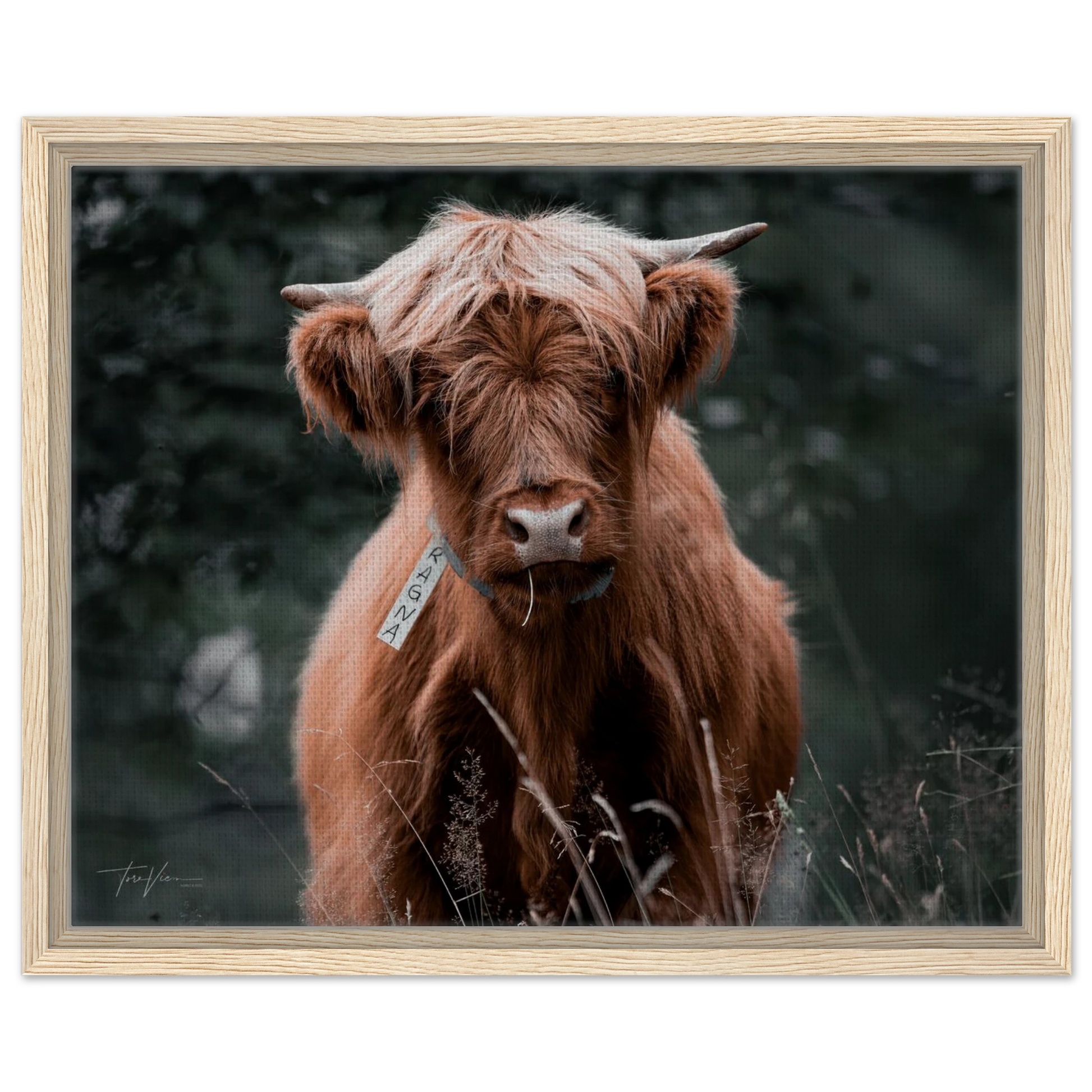 3b089826-77d6-4ddb-98c8-8882934867f0