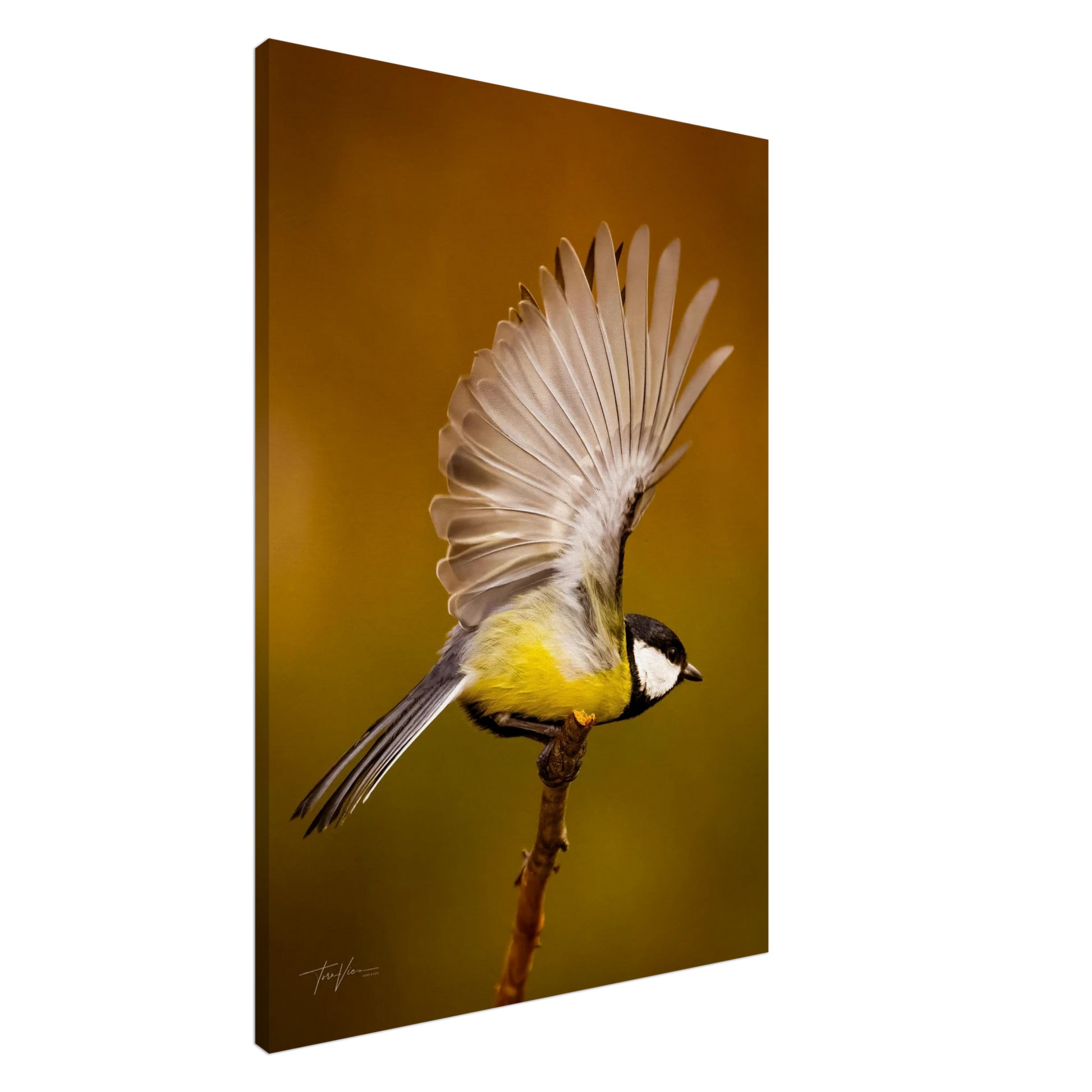 3b25a22a-e23a-4665-8b5b-da4ae5350e74