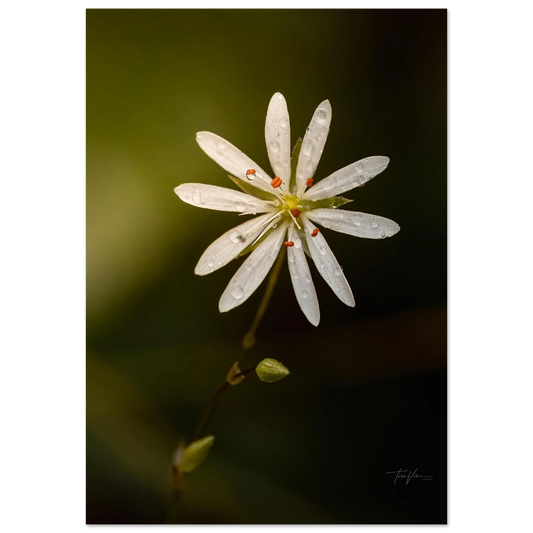 3b304820-145c-4d93-b980-f102c9bffb54