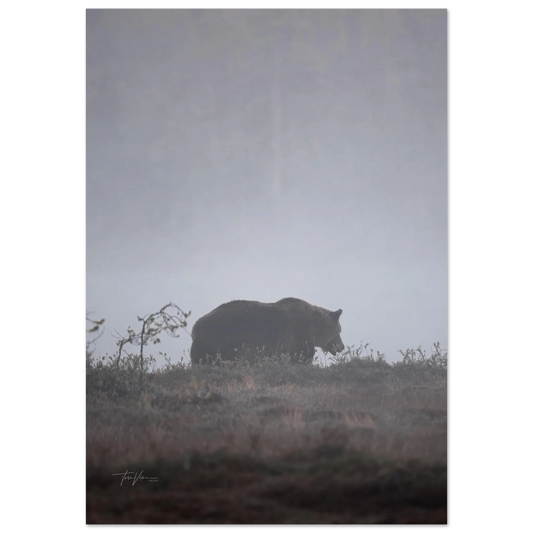 3c71c74a-e833-4015-8e19-69eb92bbe448