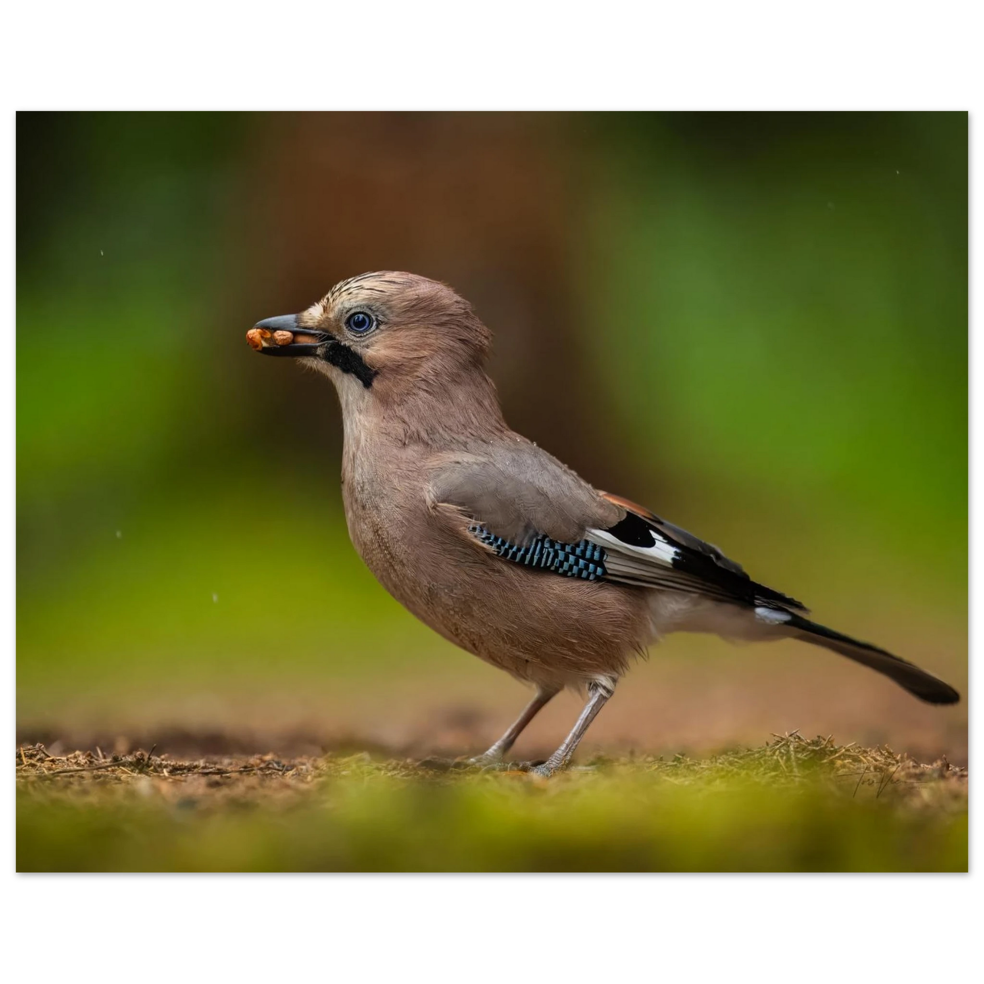 3c733a49-f2f2-440e-9566-2daf305de93c