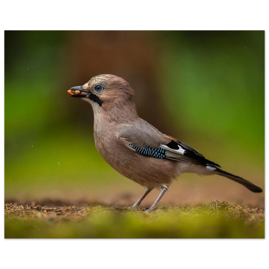 3c733a49-f2f2-440e-9566-2daf305de93c