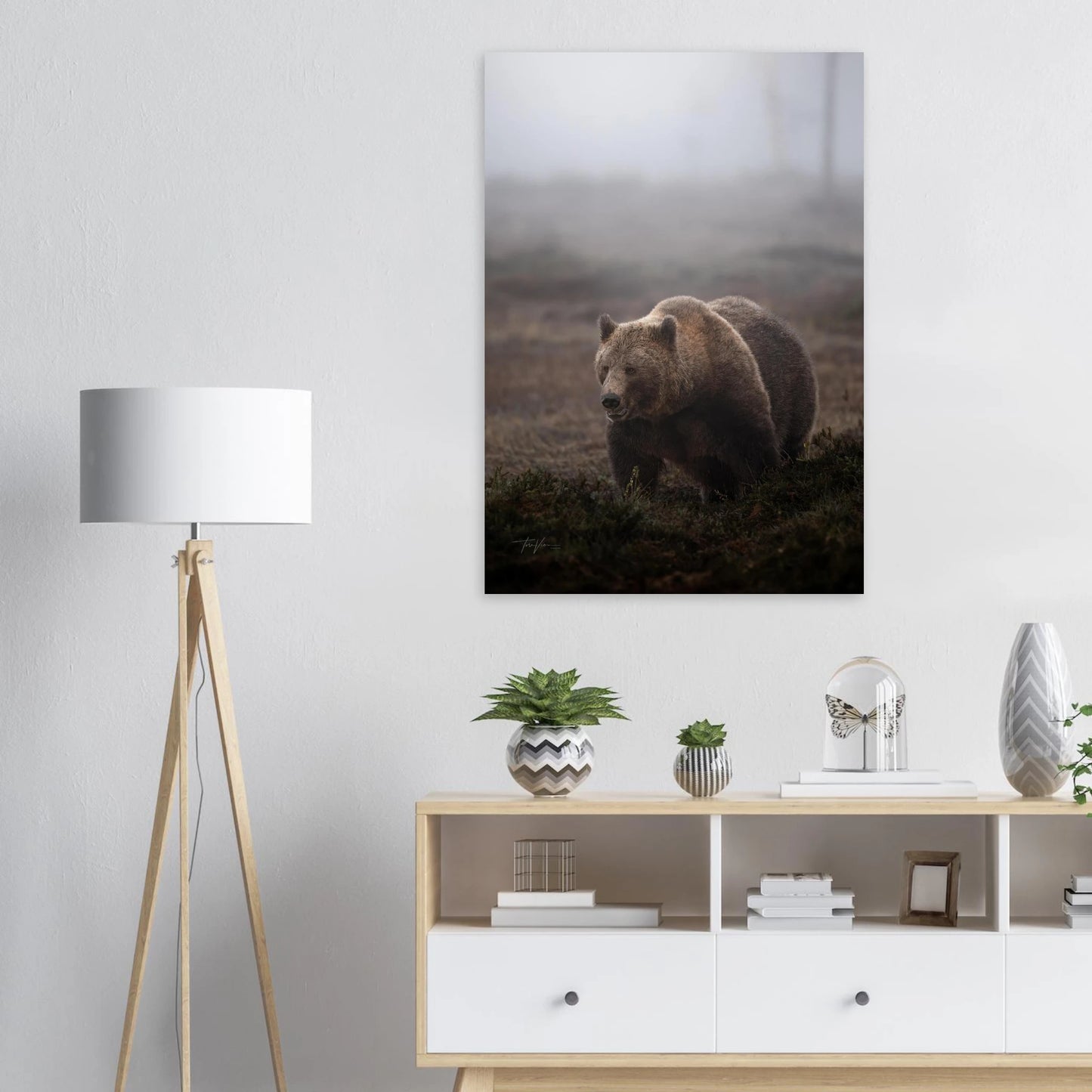 3cf54df9-1abd-49b0-b96b-d01f25908ad5