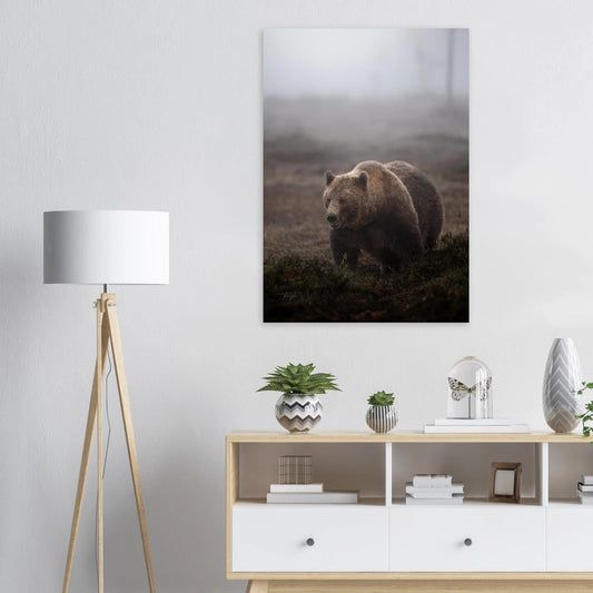 3cf54df9-1abd-49b0-b96b-d01f25908ad5