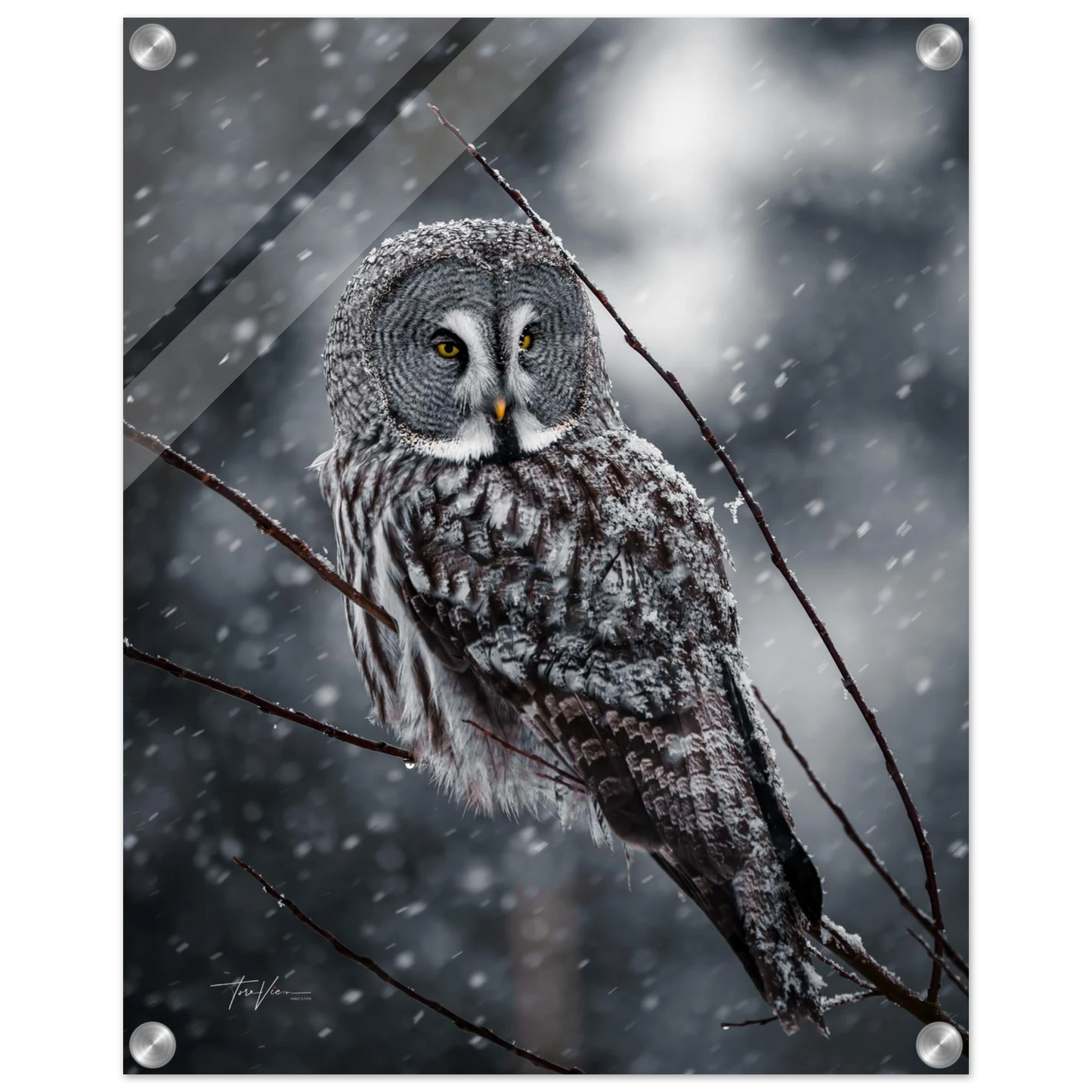 3d95b126-9d3c-4ccd-801e-e42da95d0f2c