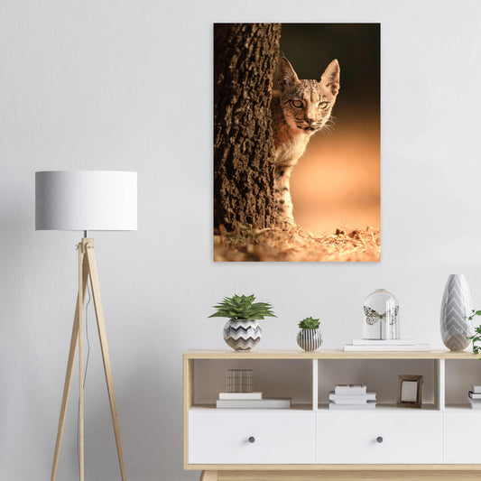 3e5ab805-a3b0-4ab0-bb6f-482b45fe6dc2