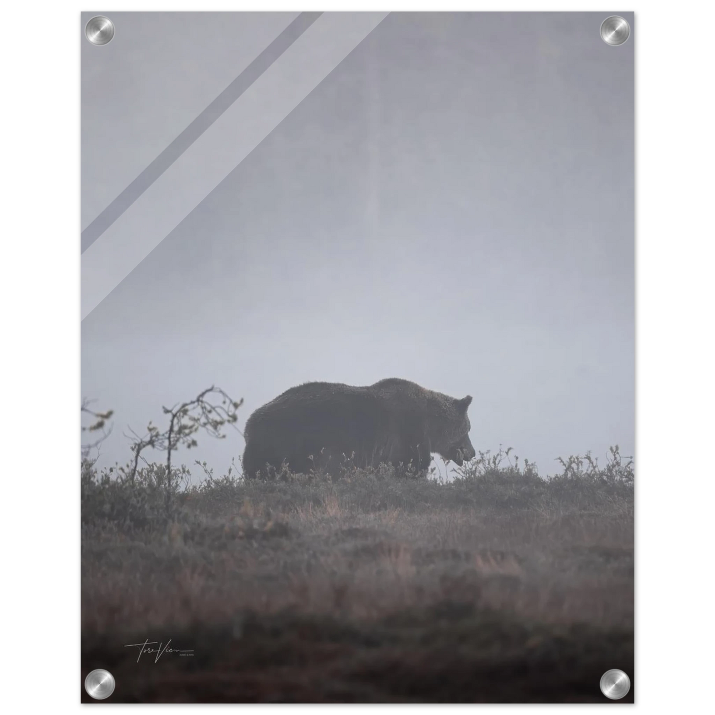 3e6100de-a526-4796-892a-2e2a37fef78c