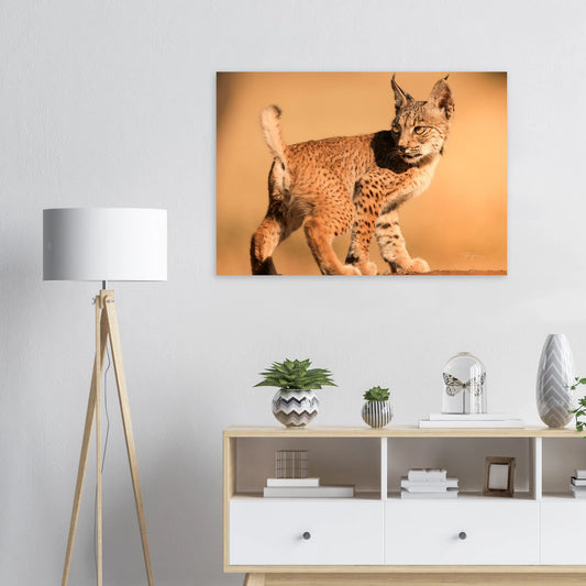 3f7c22ae-ed35-423a-bdaf-9b1aac030509