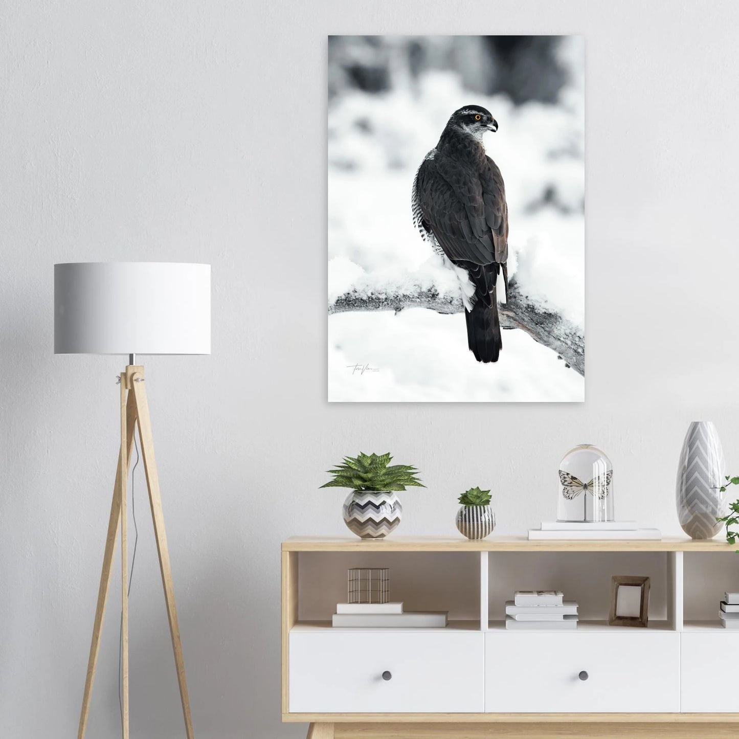 4121ed23-25dc-4439-ba6b-50d64b3d7e81