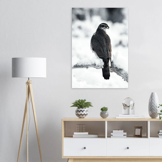 4121ed23-25dc-4439-ba6b-50d64b3d7e81