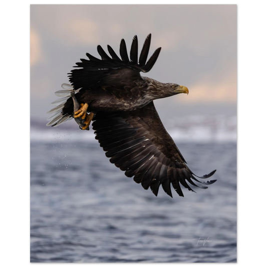 4249f8de-781c-4fb1-a430-92f9f4a5404b