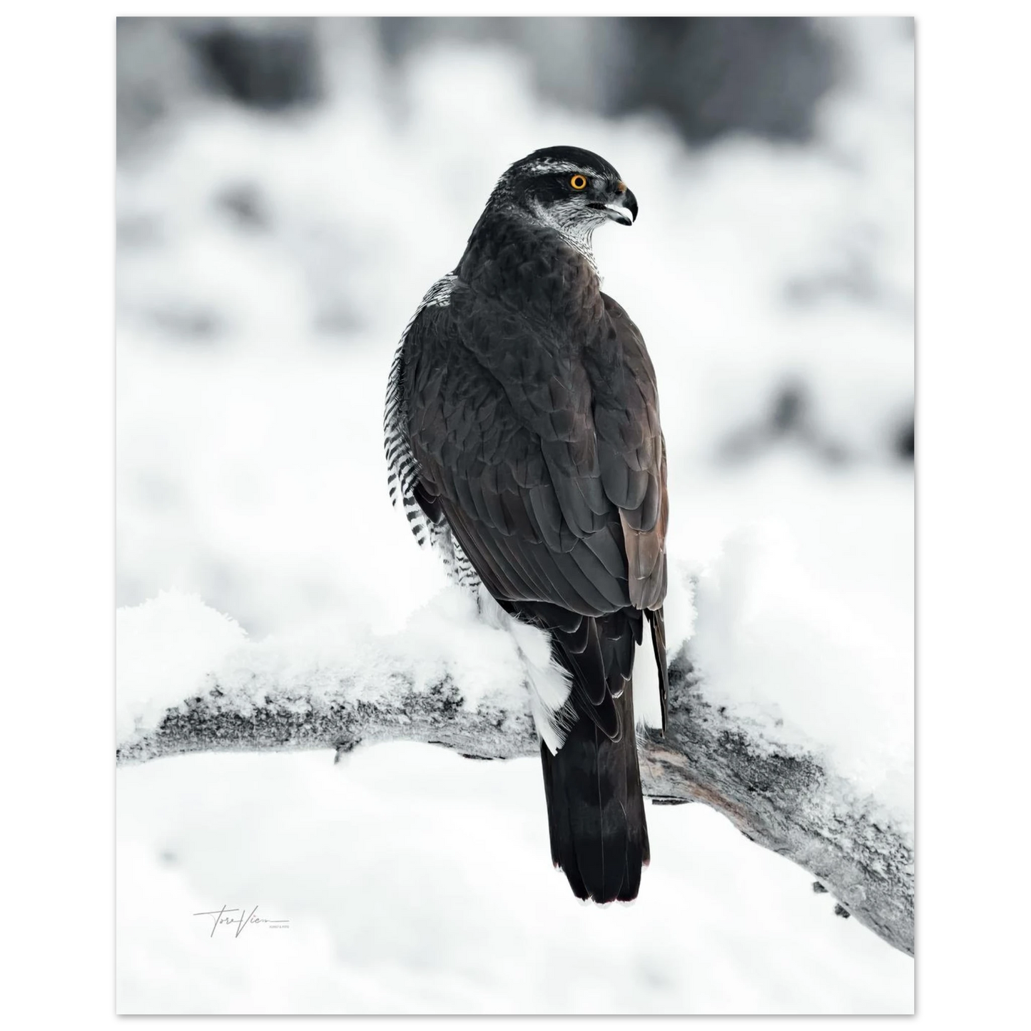 42baa379-0e8c-4915-8457-3816f61a4a02