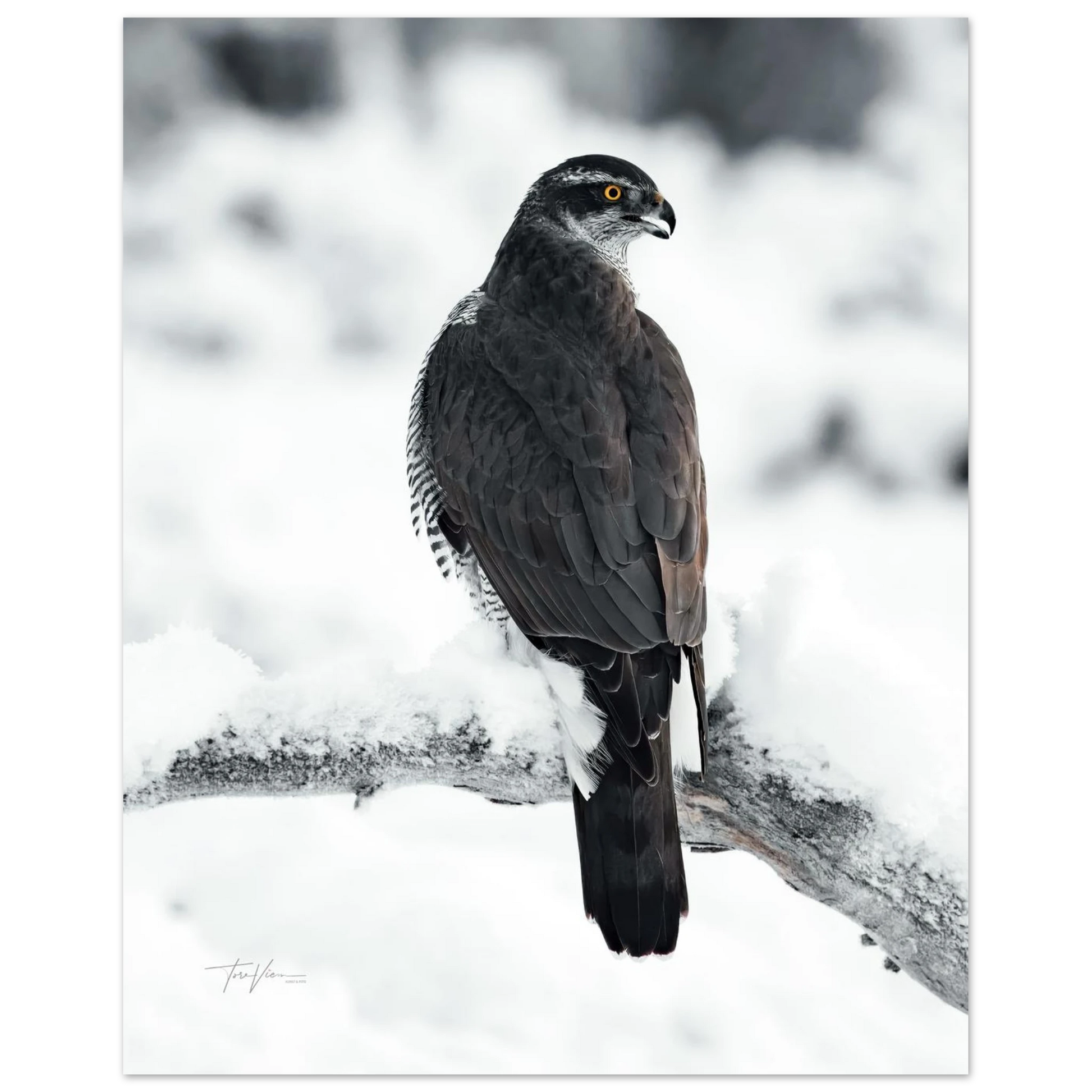 42baa379-0e8c-4915-8457-3816f61a4a02