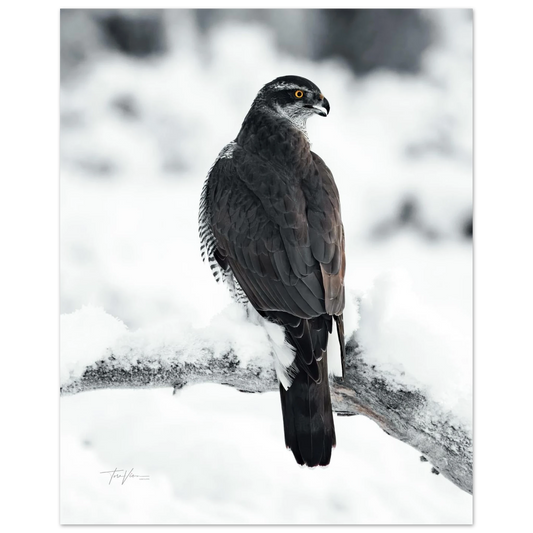 42baa379-0e8c-4915-8457-3816f61a4a02