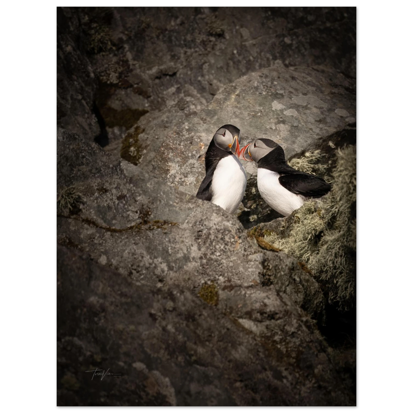 434e75d3-199e-4f2e-8c9b-20df0b3226ac