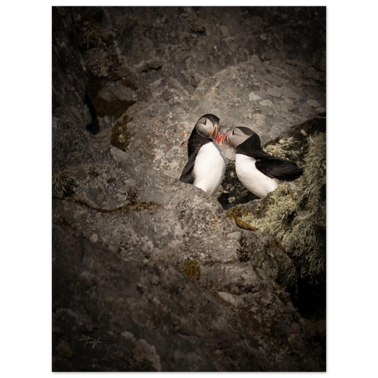 434e75d3-199e-4f2e-8c9b-20df0b3226ac