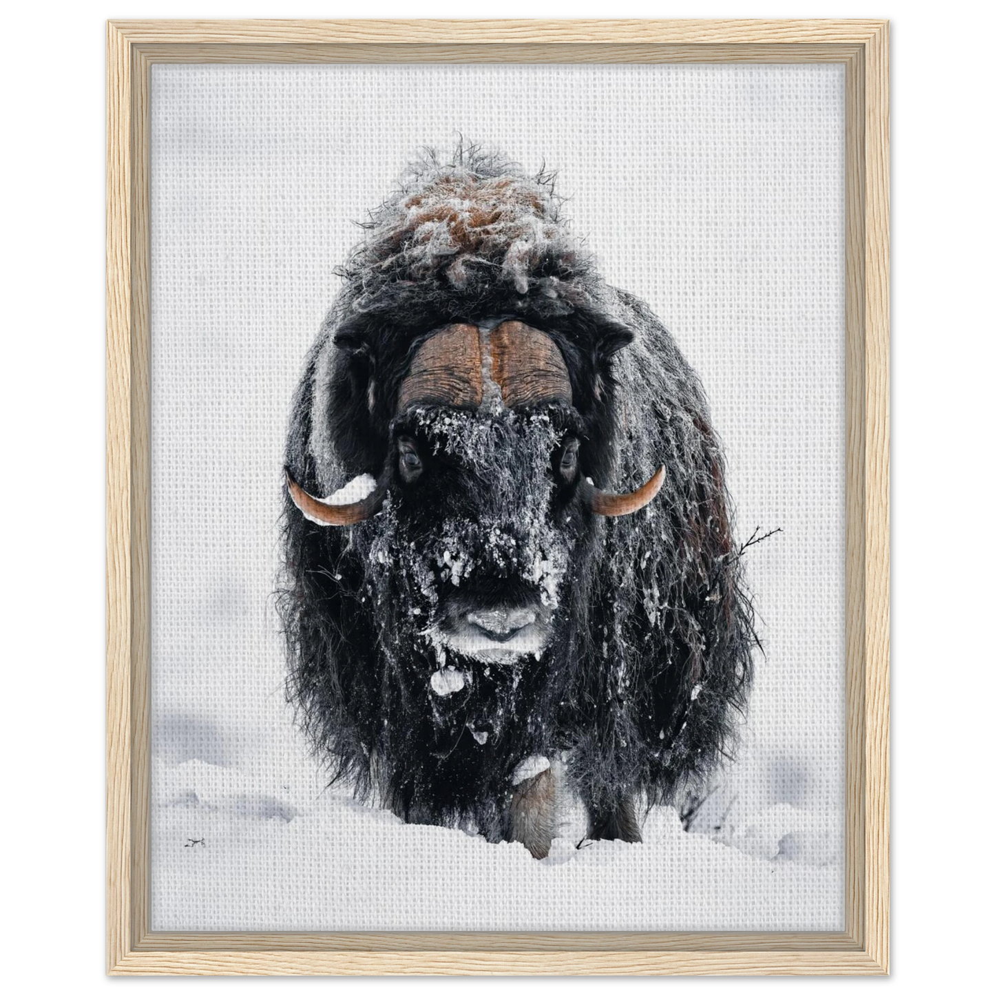 43c43ab0-99f5-4c66-bab8-8103f53cc2a2