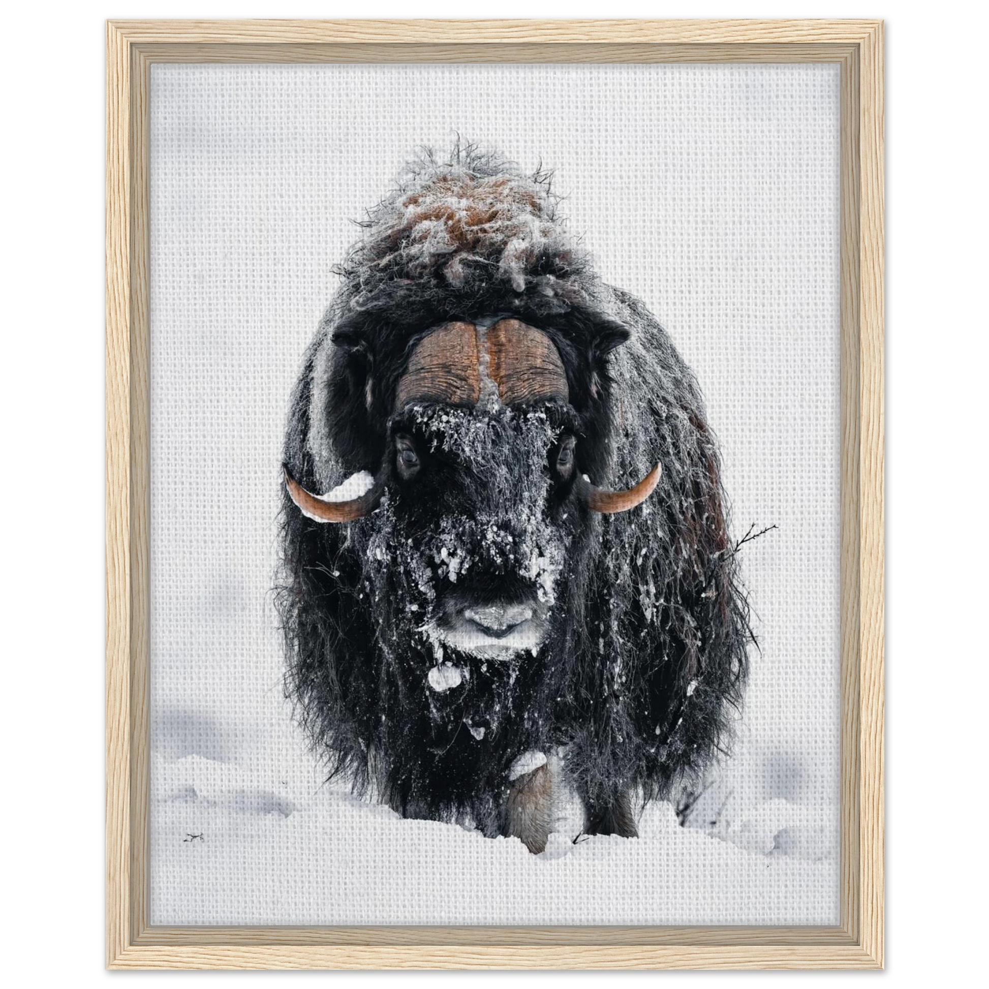 43c43ab0-99f5-4c66-bab8-8103f53cc2a2