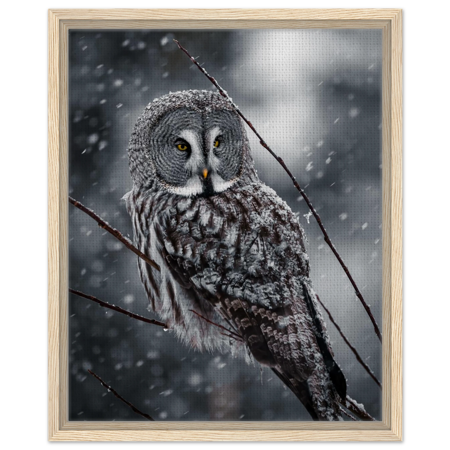 48dd1c7b-3132-452e-94b3-df92a6c919a0