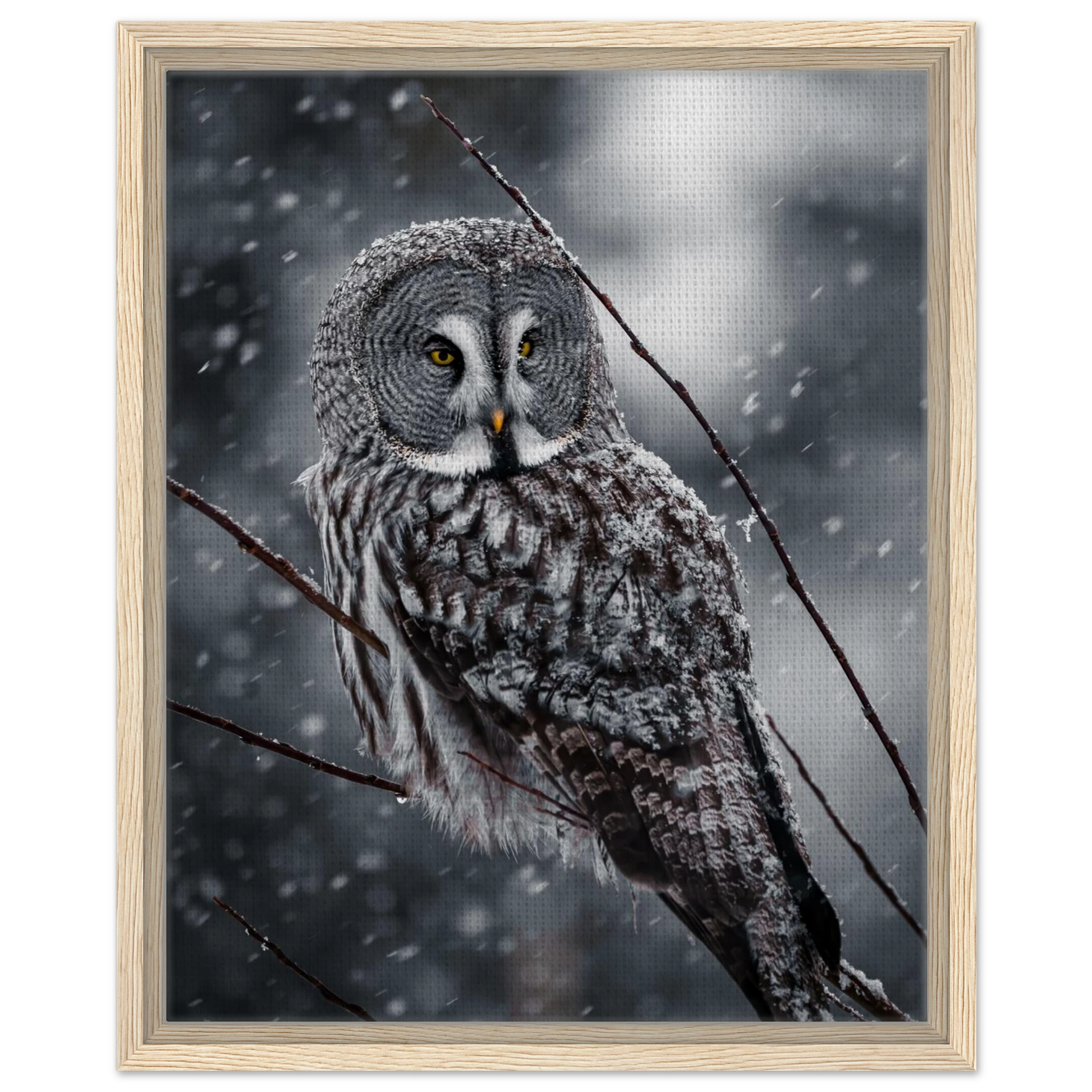 48dd1c7b-3132-452e-94b3-df92a6c919a0