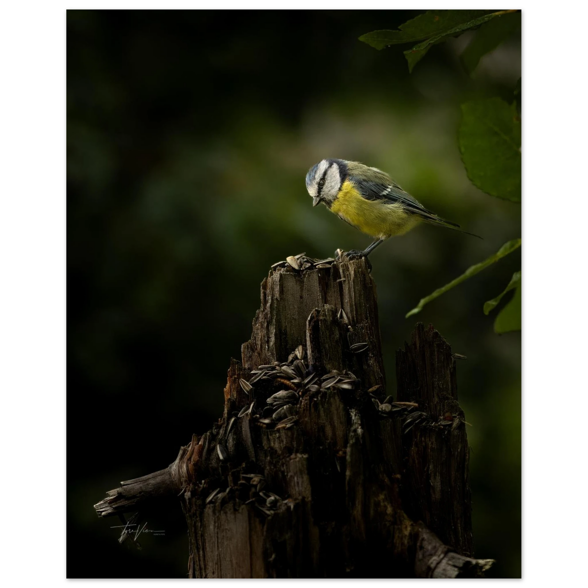 48fad713-2d60-4ec1-908c-cc148515ac5b