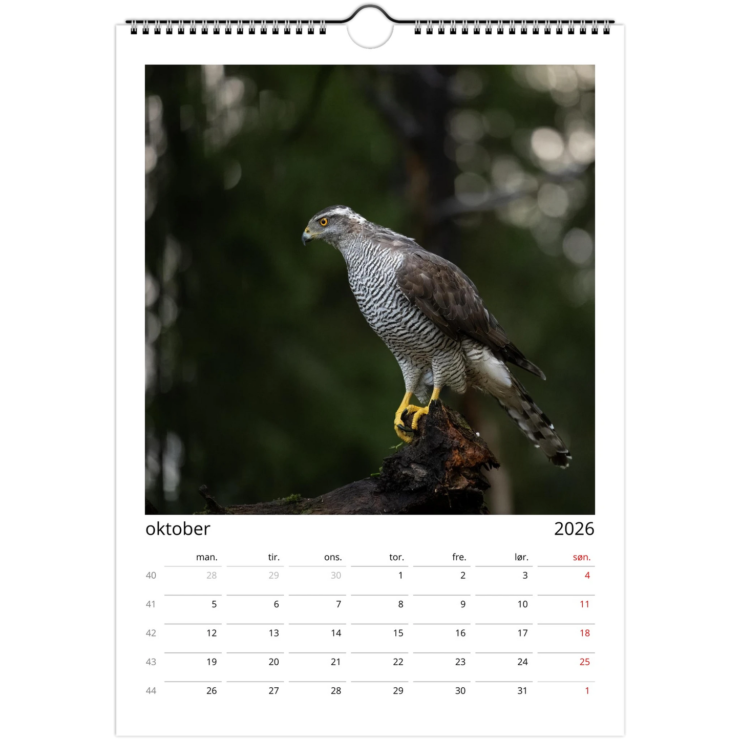 49b70304-cfd6-43b2-9630-45f8966618aa