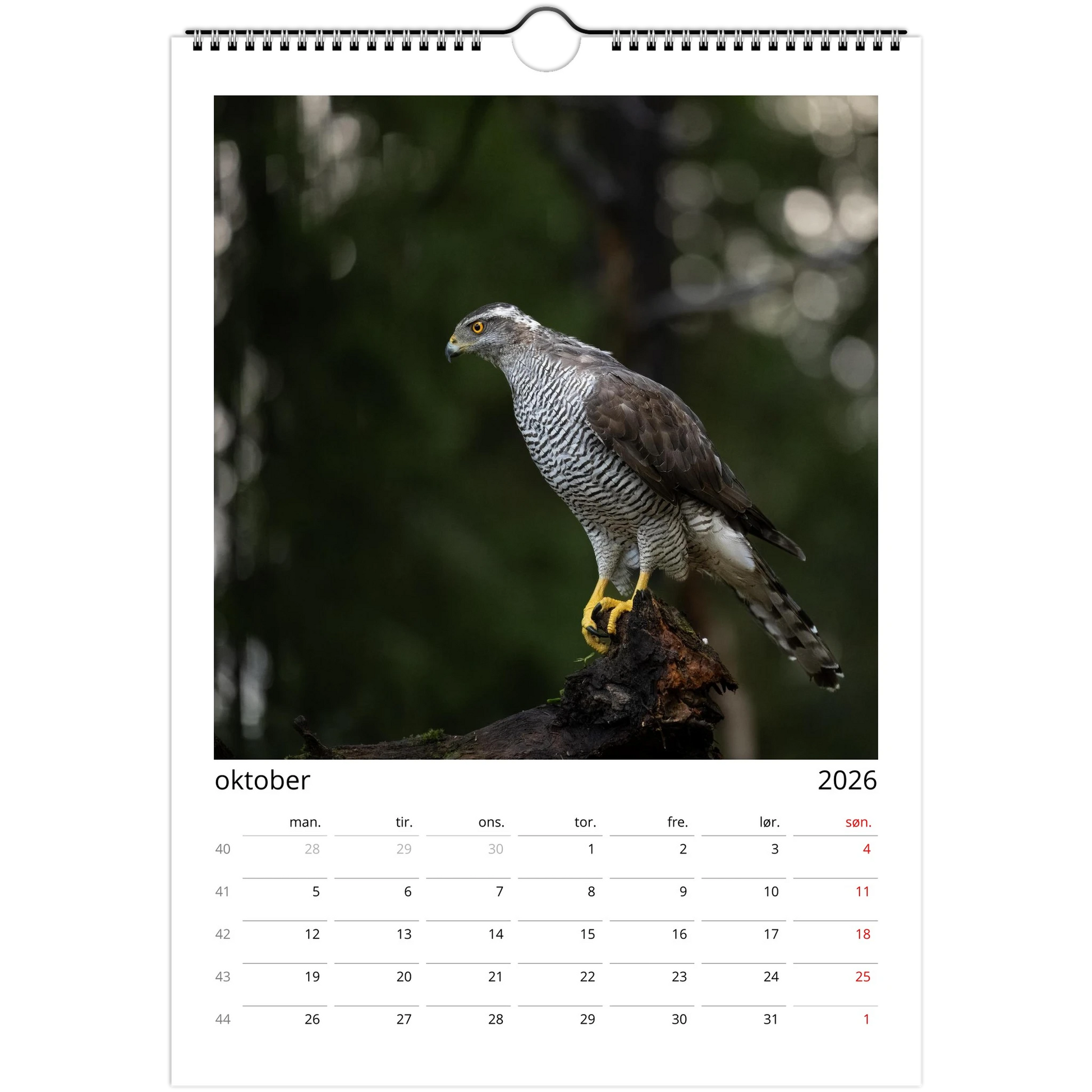 49b70304-cfd6-43b2-9630-45f8966618aa