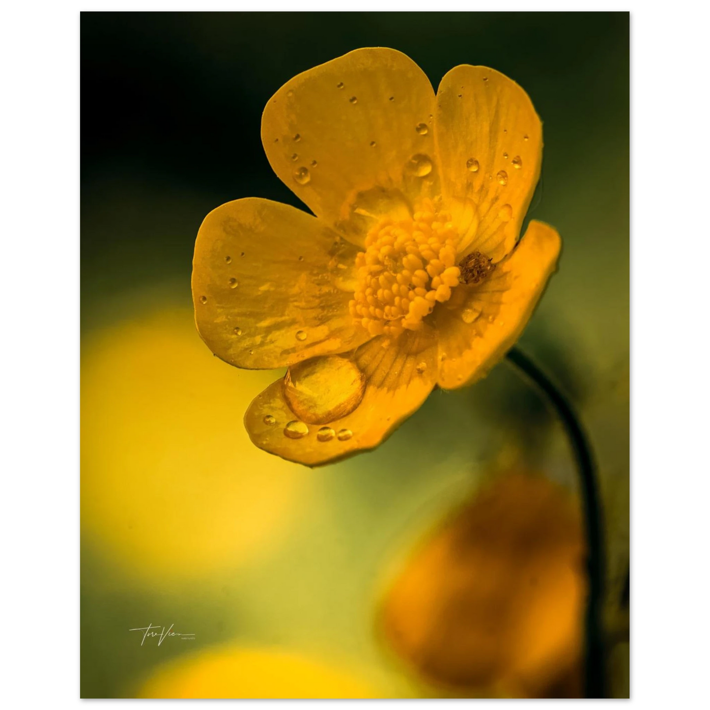 4a05104c-eabc-4190-bea1-fc3537f4d74f