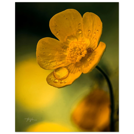 4a05104c-eabc-4190-bea1-fc3537f4d74f