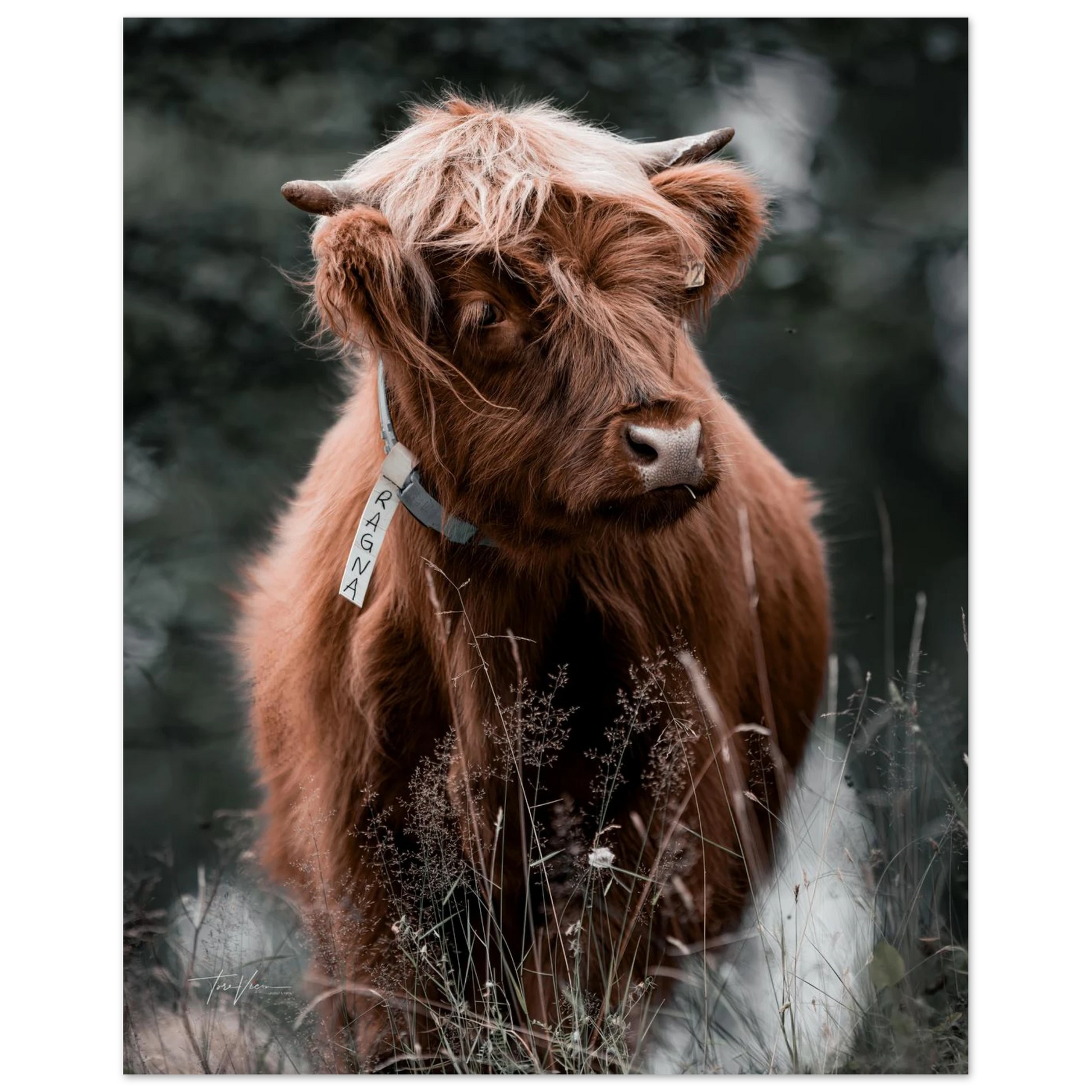 4a498984-dd8a-4e58-b326-aef875d09947