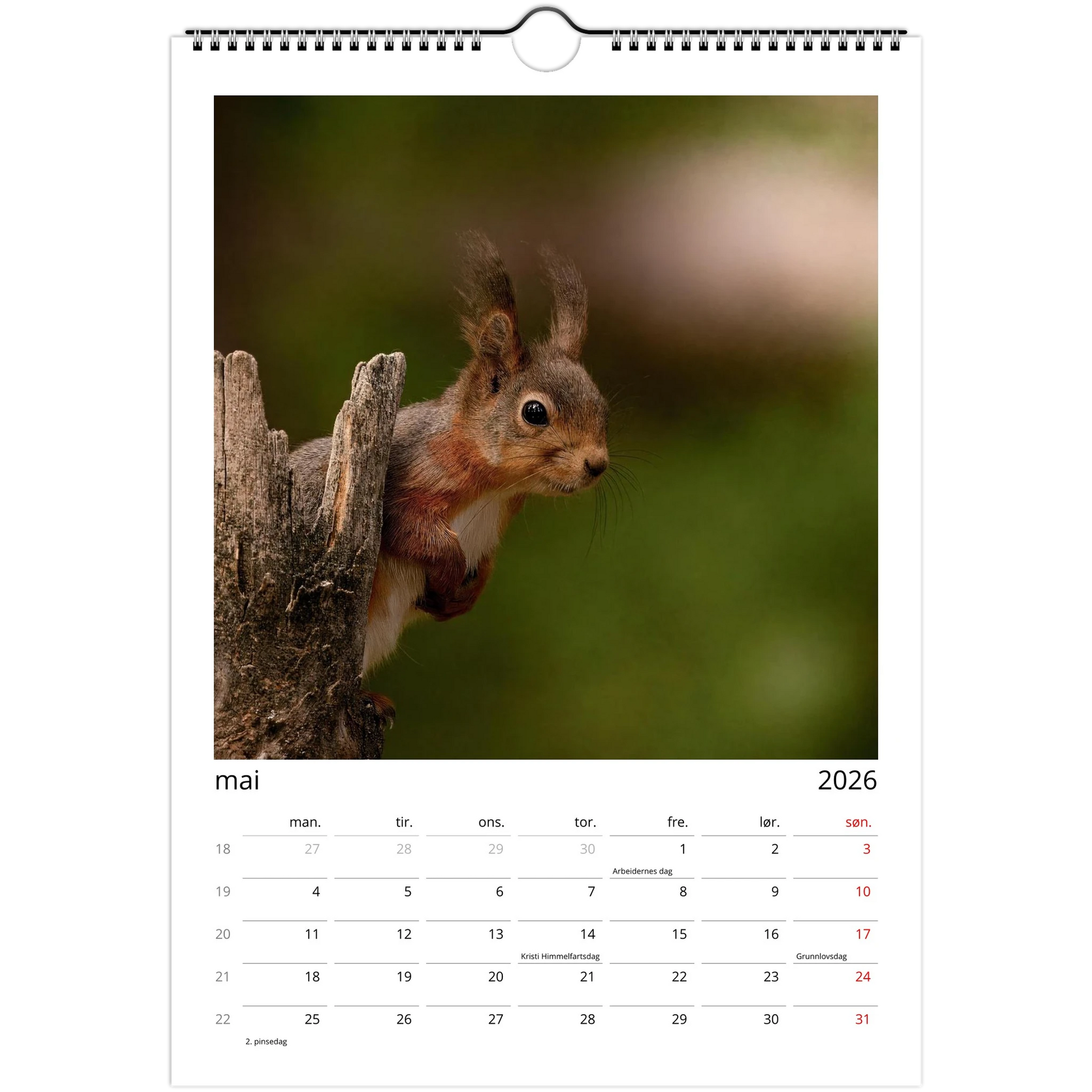 4a5a1216-022c-4adb-9277-1279415ac637