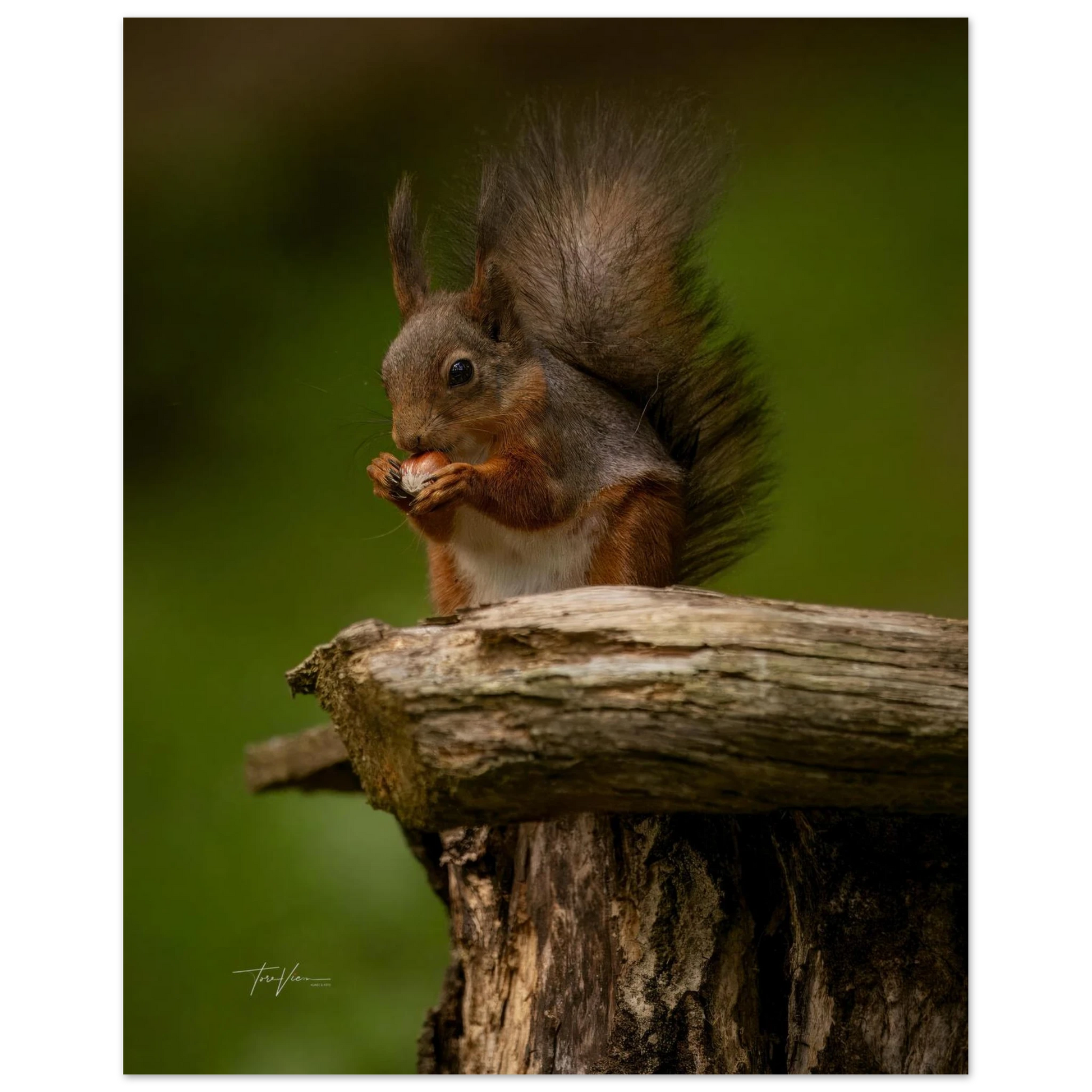 4af6154c-0307-4f0b-9daf-e3b8c9639984