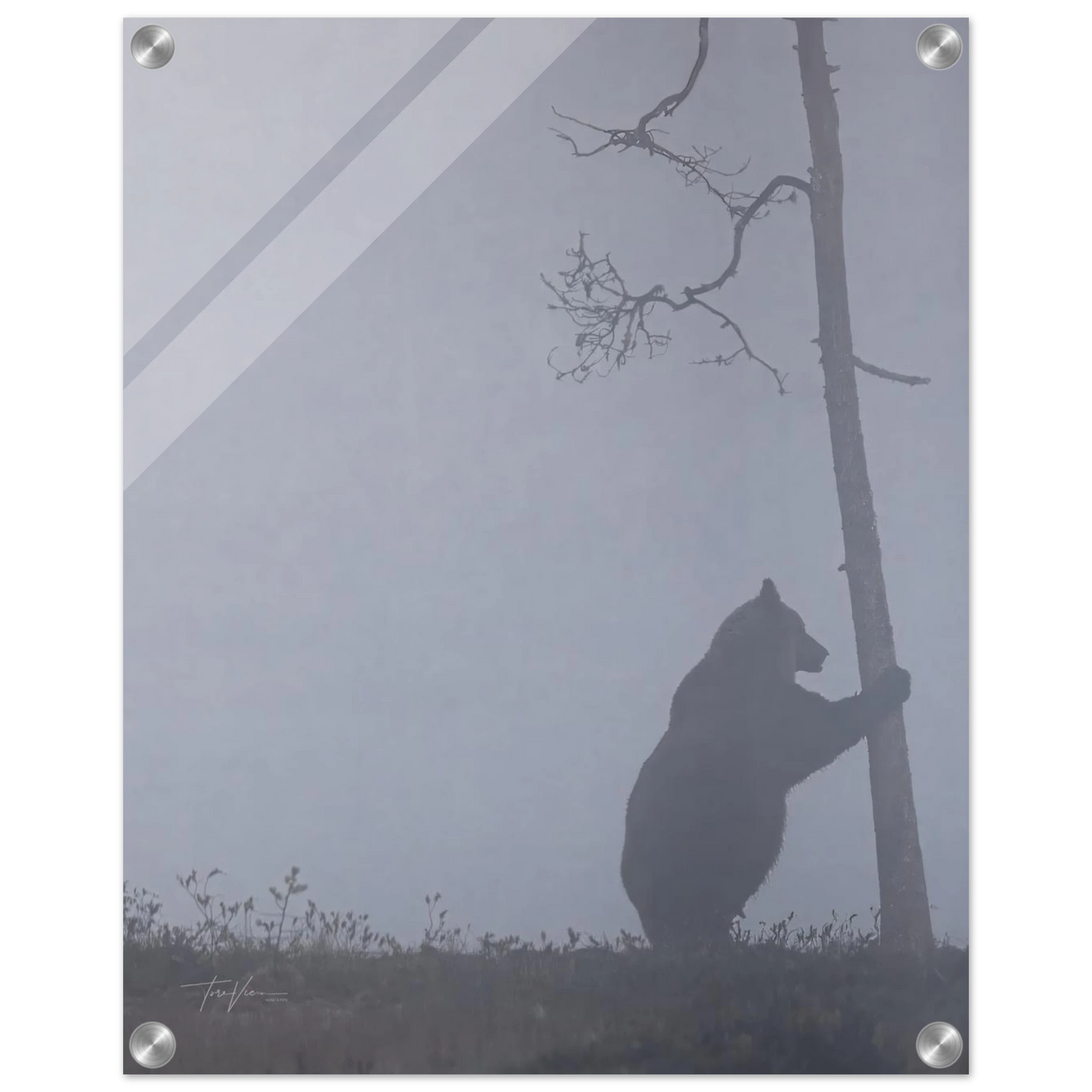 4b3d5a7e-6ce0-493d-8ffe-c64785fa409a