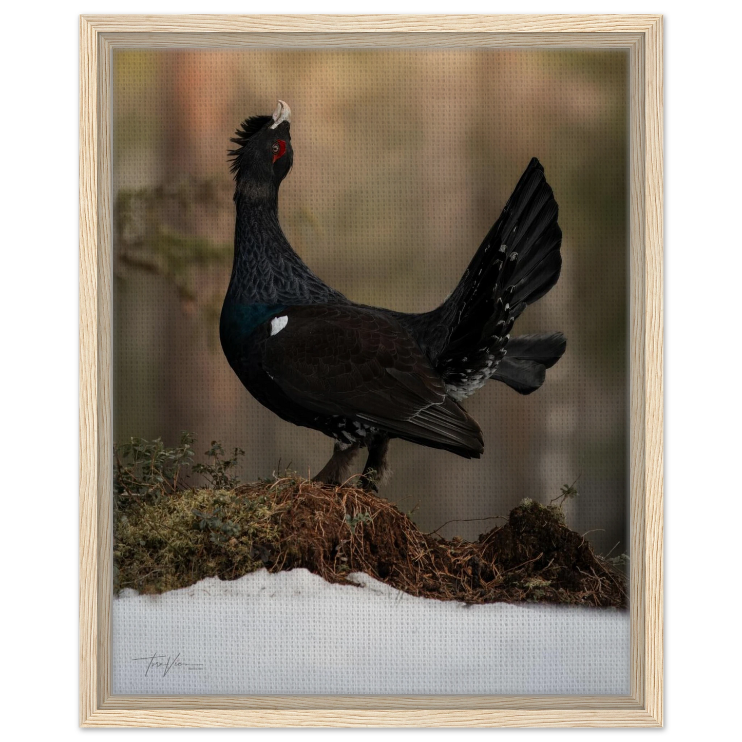 4bbc4903-31e4-4519-805b-f935a8fa32f6