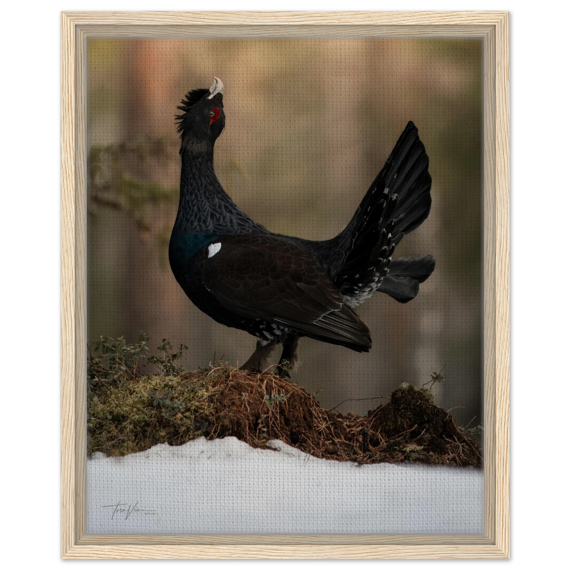 4bbc4903-31e4-4519-805b-f935a8fa32f6