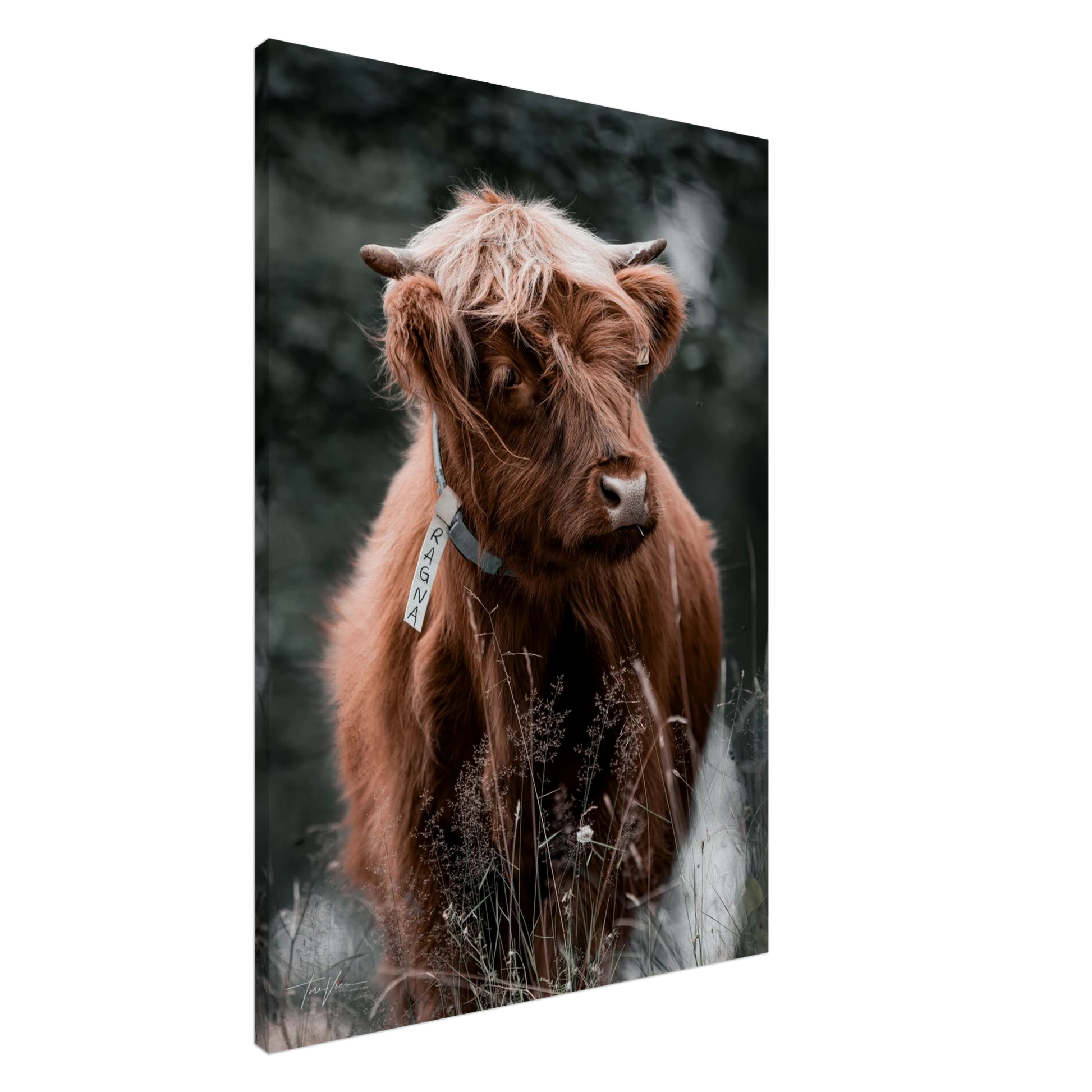 4d3ccbe4-34cb-4afb-8c95-42572b23dfae