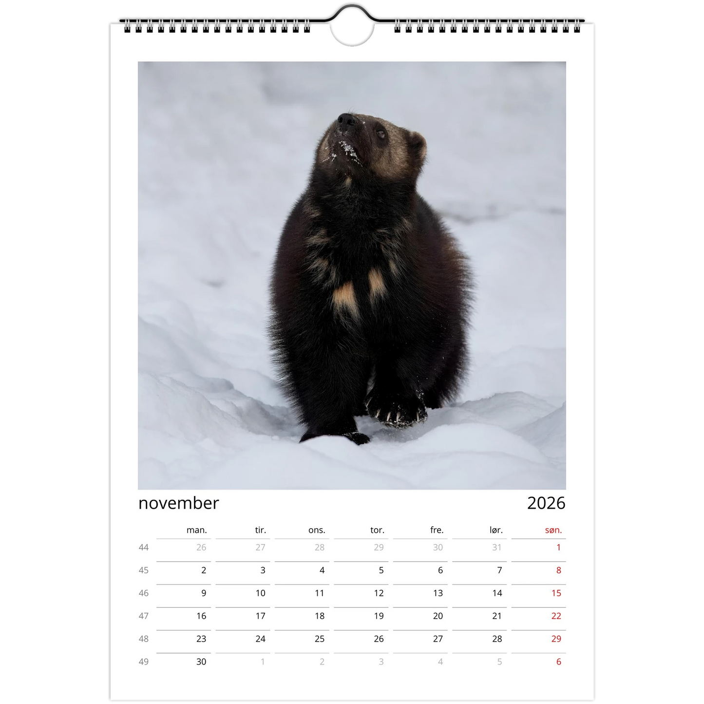 4d995408-e591-4fd6-a40b-0d88d39275ad