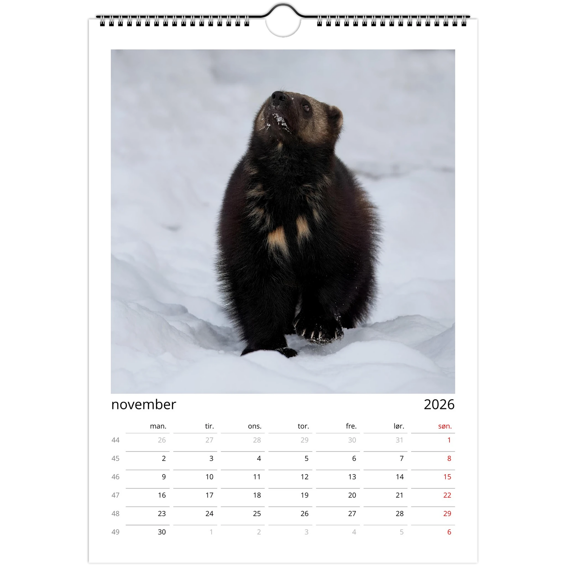 4d995408-e591-4fd6-a40b-0d88d39275ad